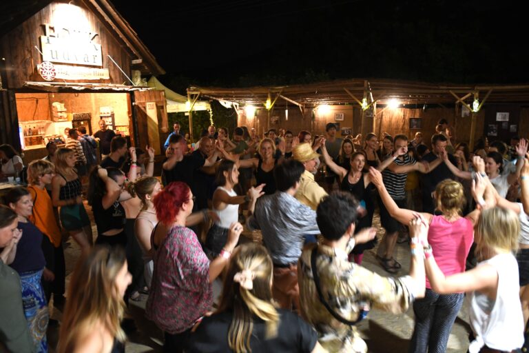 Festival crowd dancing CREDIT HontAngela